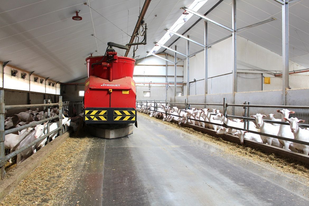 Triomatic WP wheel-driven feeding robot automatic feeding system, feeding robot, feeding robot, robotic feeding, automatic feeding, wheeled robot, automatic feeder, robotic feeder, TMT mixer, feed mixer