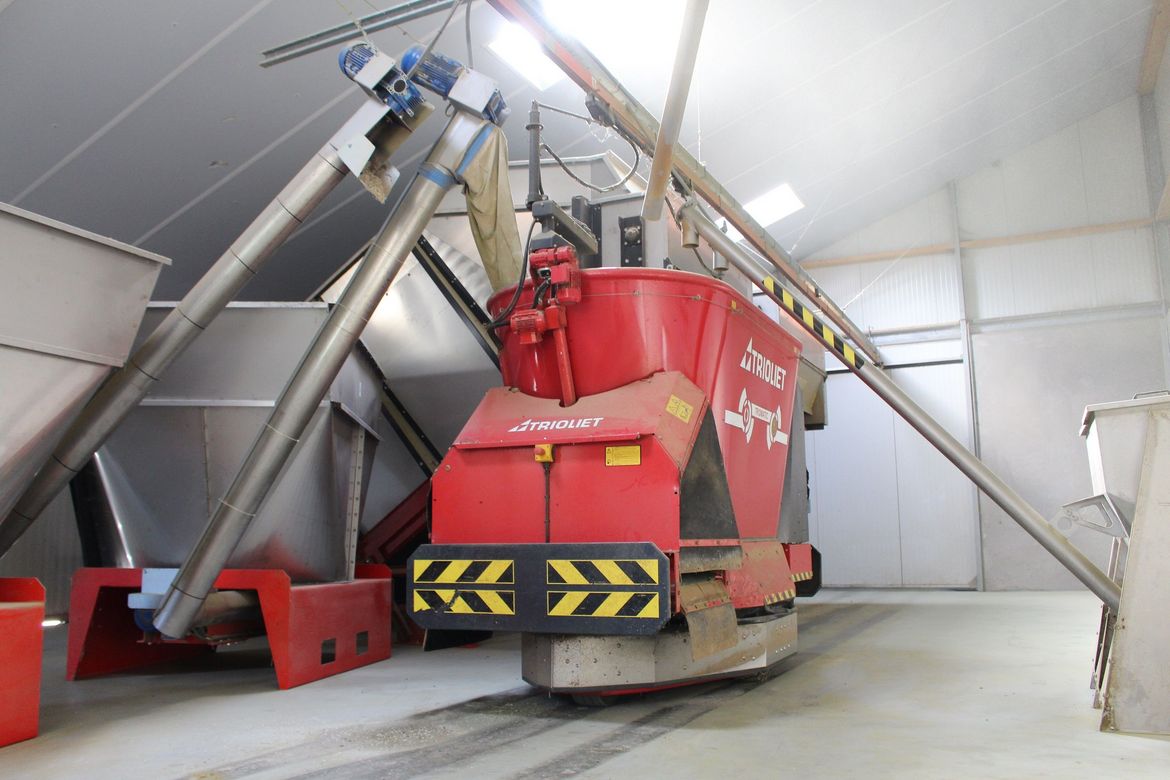 Feed-storage-for-automated-feeding-is-common-on-a-farm