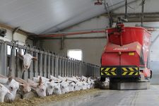 Triomatic T30, Feed kitchen with storage bunkers